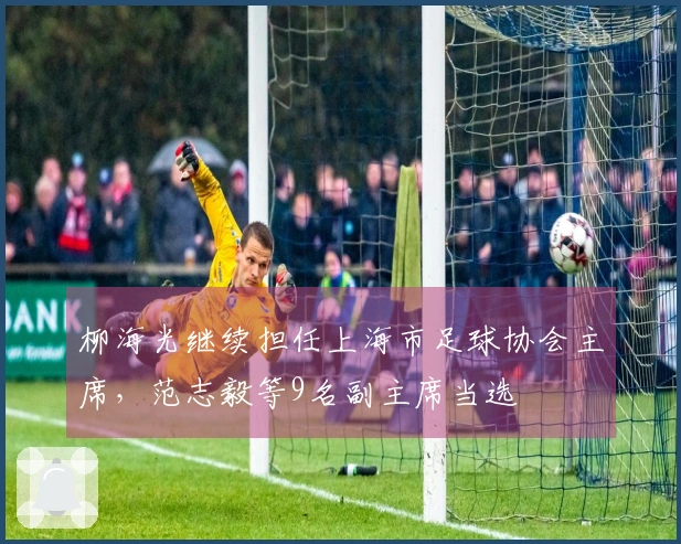 柳海光继续担任上海市足球协会主席，范志毅等9名副主席当选