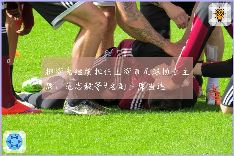 柳海光继续担任上海市足球协会主席，范志毅等9名副主席当选
