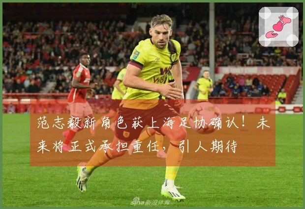 范志毅新角色获上海足协确认！未来将正式承担重任，引人期待